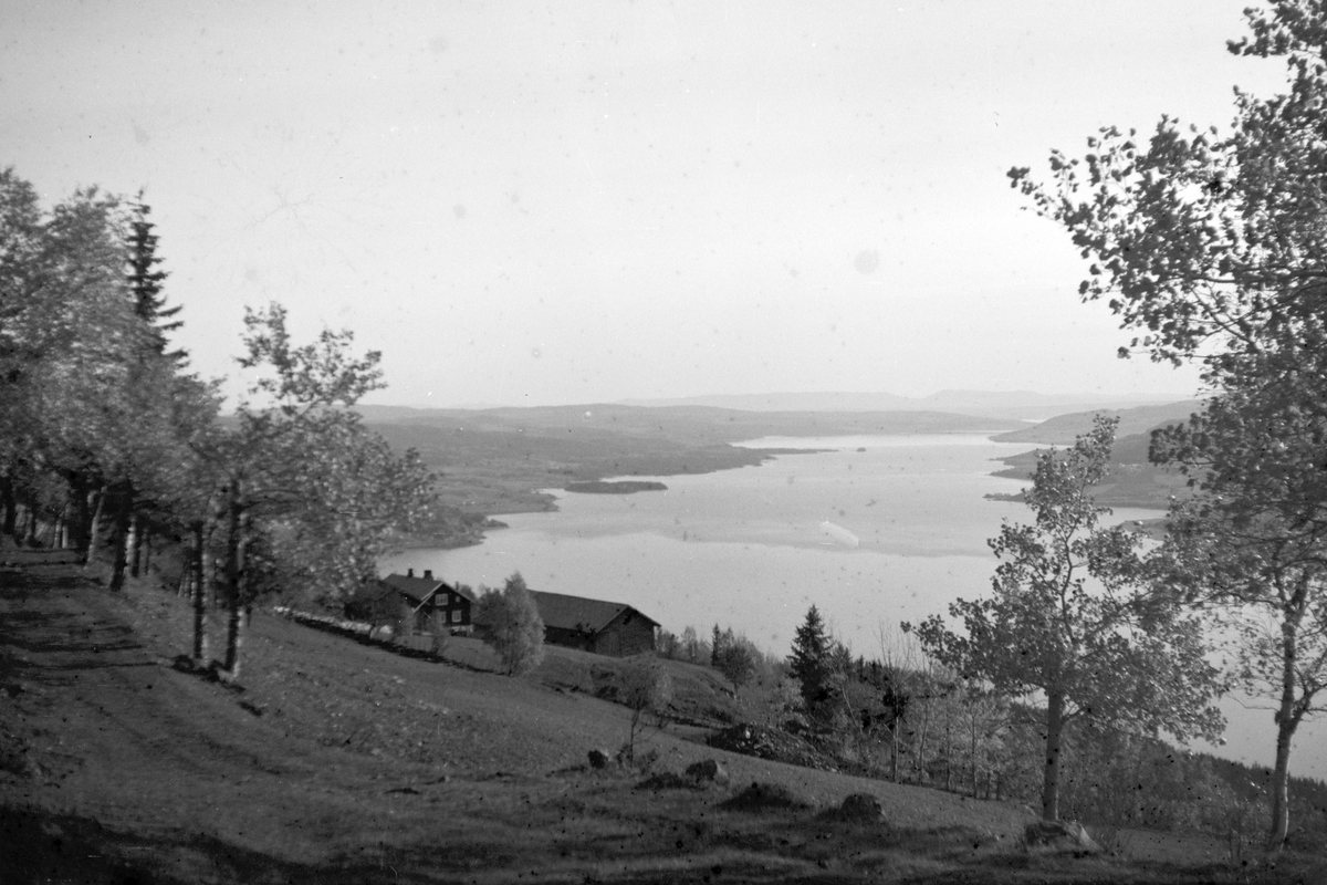 Håkon Prestkværn, Landskap, utsikt fra Brøttum mot Ring -Moelv, Mjøsa.