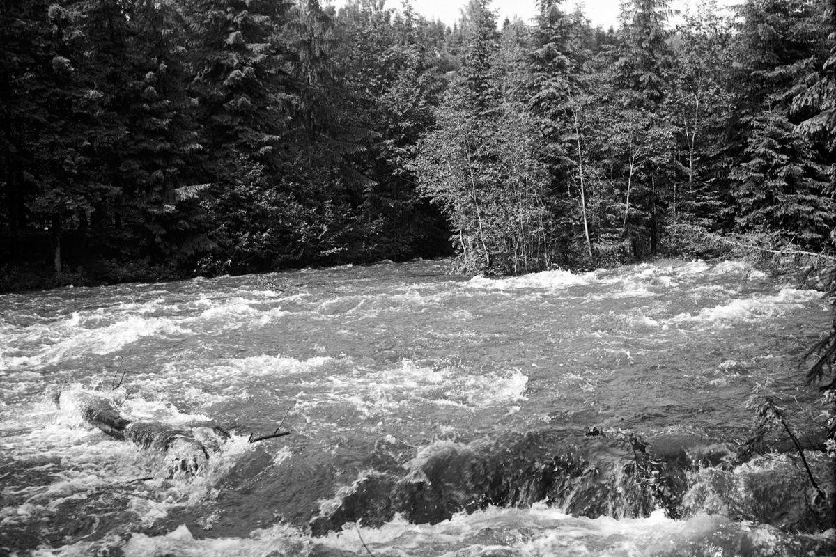 Håkon Prestkværn, Moelva?, flom