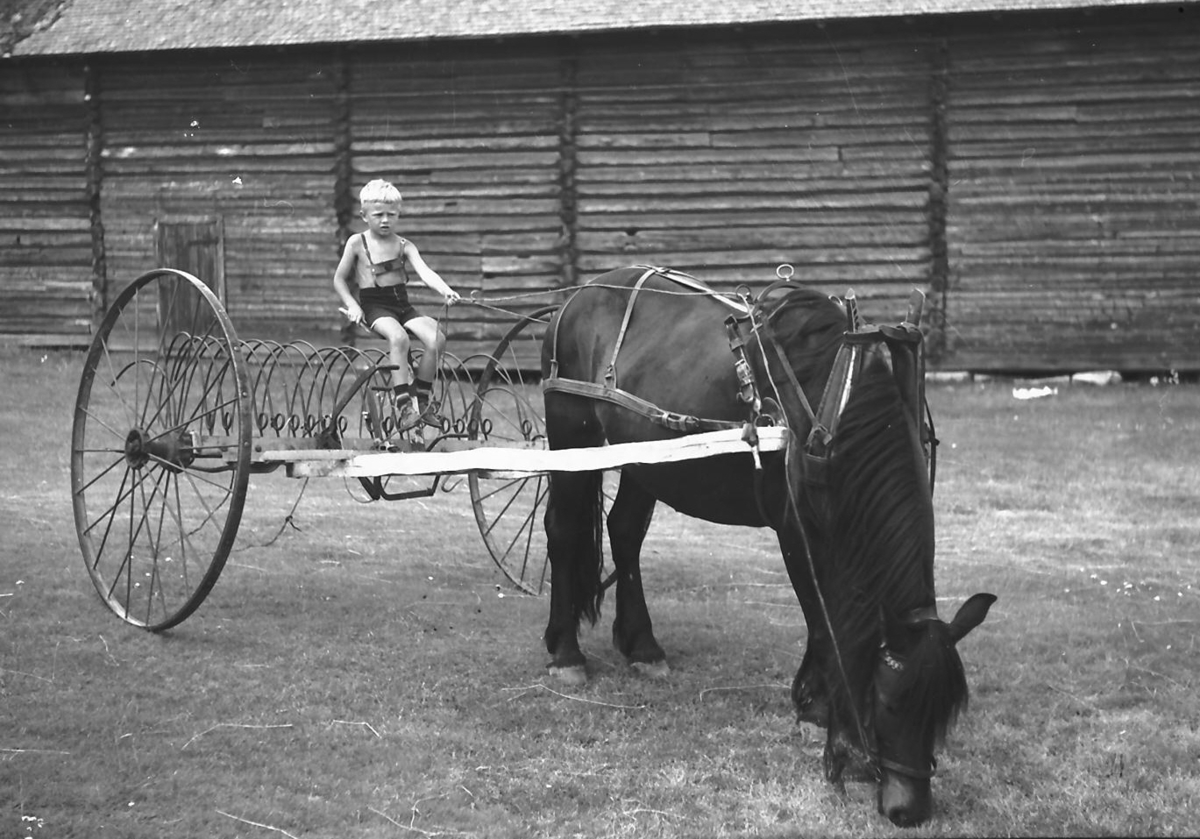 Per K. Lien, Hest med høyrive, gutt oppå, foran en stor låve.