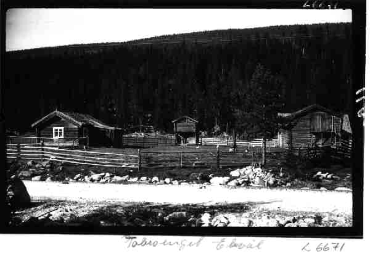 Per K. Lien, Gård, Tobroenget, Elvål, Rendalen, husdyr