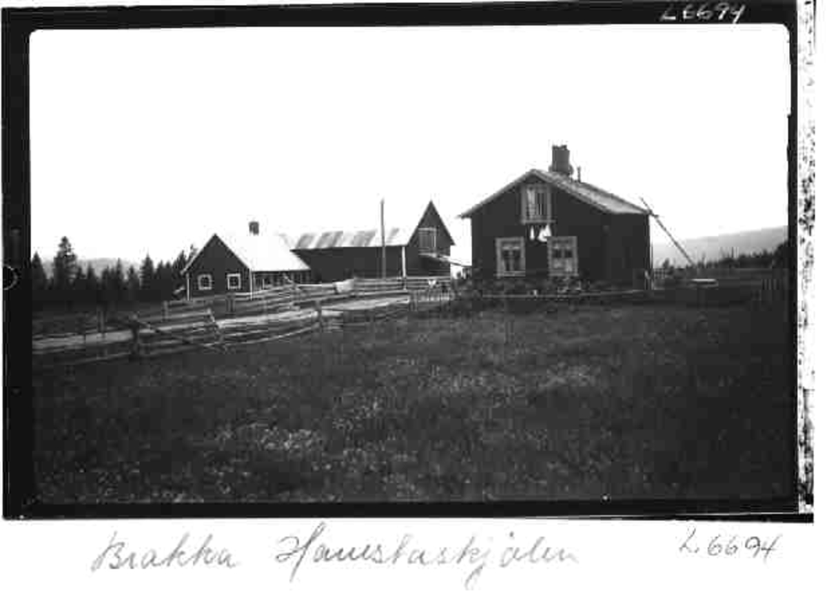 Per K. Lien, Brakka Hanestadkjølen, Rendalen