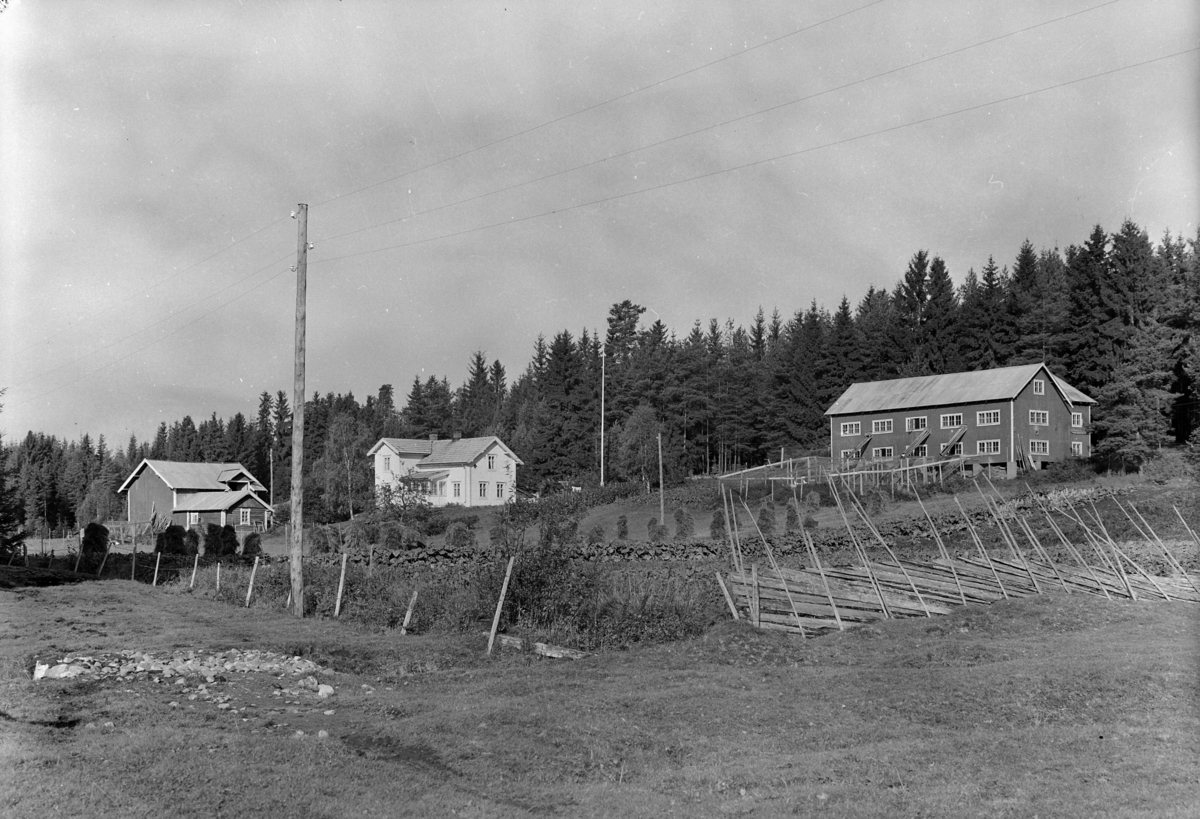 Normann Fotoatelier, Gård ved skogkant. k. Kristiansen