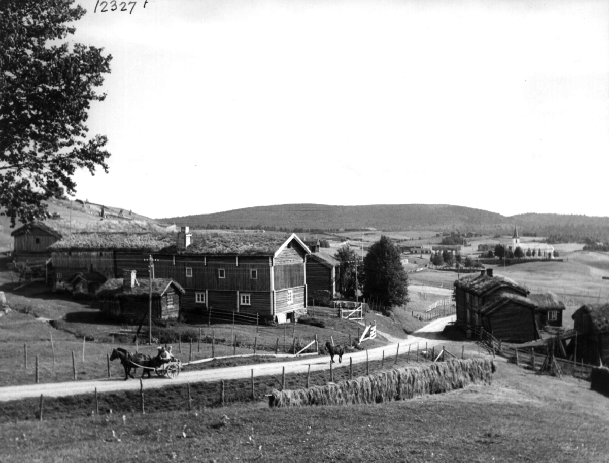 Anders Beer Wilse, Vingelen gård, Landbruk, Samferdsel, Hest.