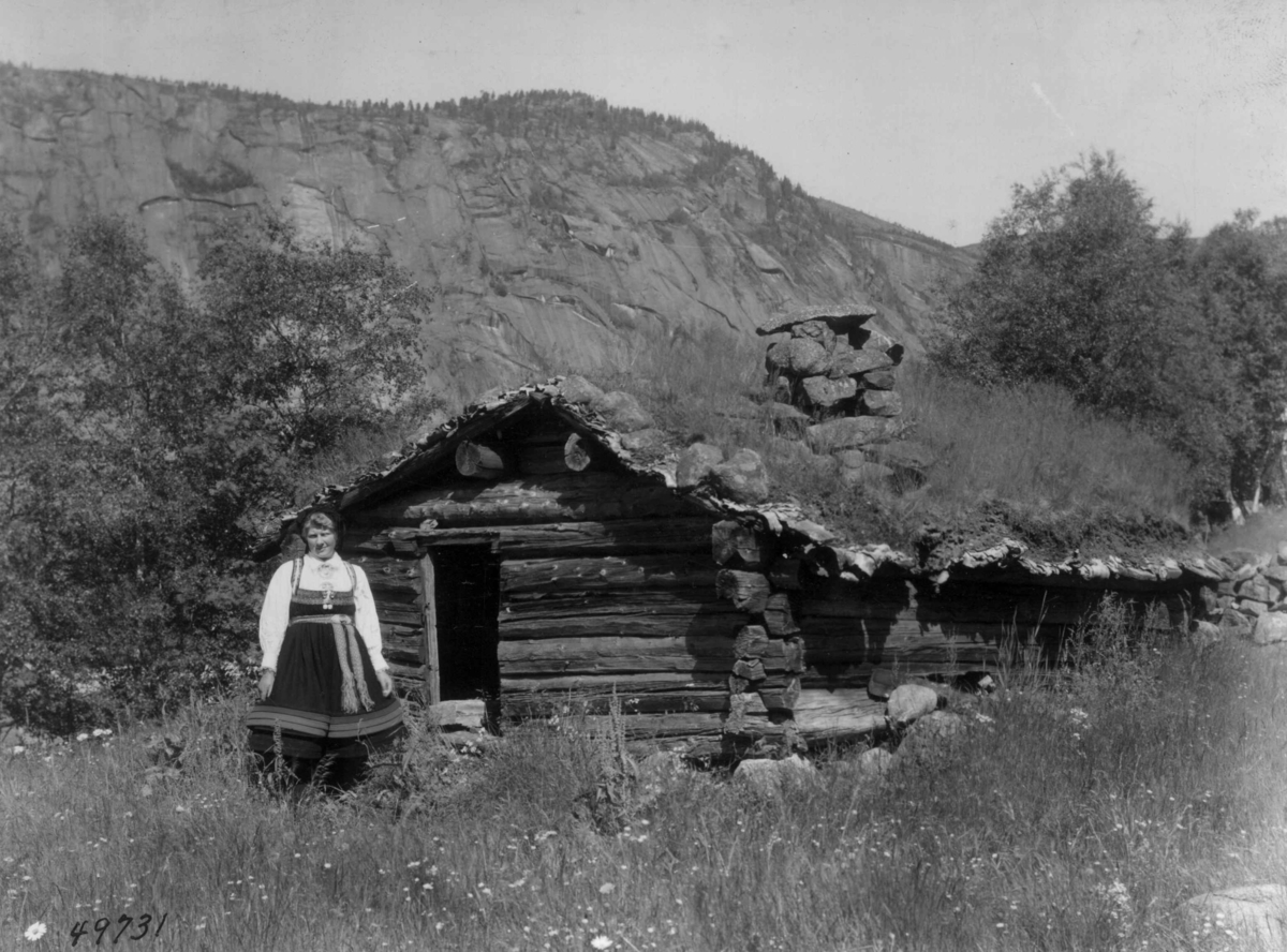 Anders Beer Wilse, Wilse original, Kvinnedrakt, Portrett, Sigrid Viken