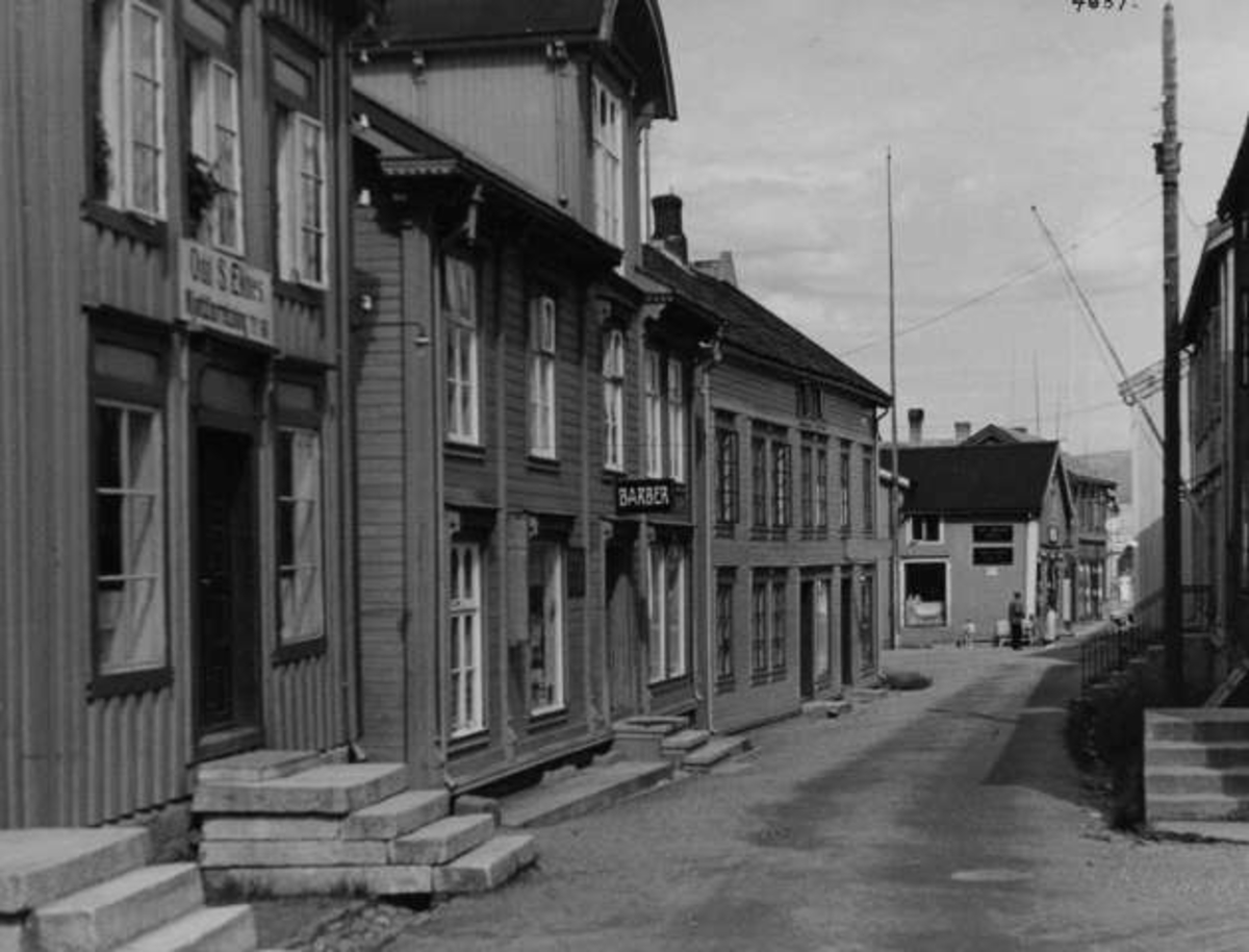 Anders Beer Wilse, -5593