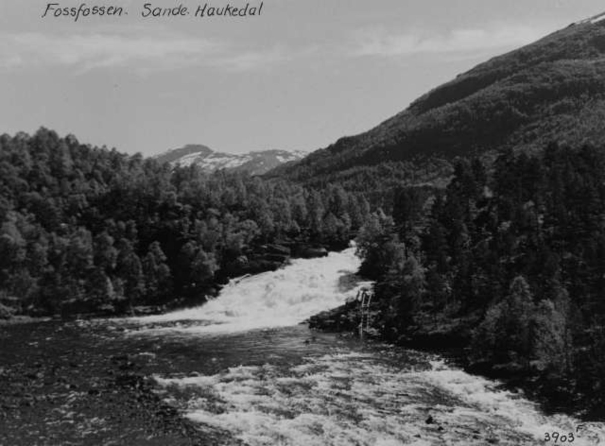Anders Beer Wilse, -5638