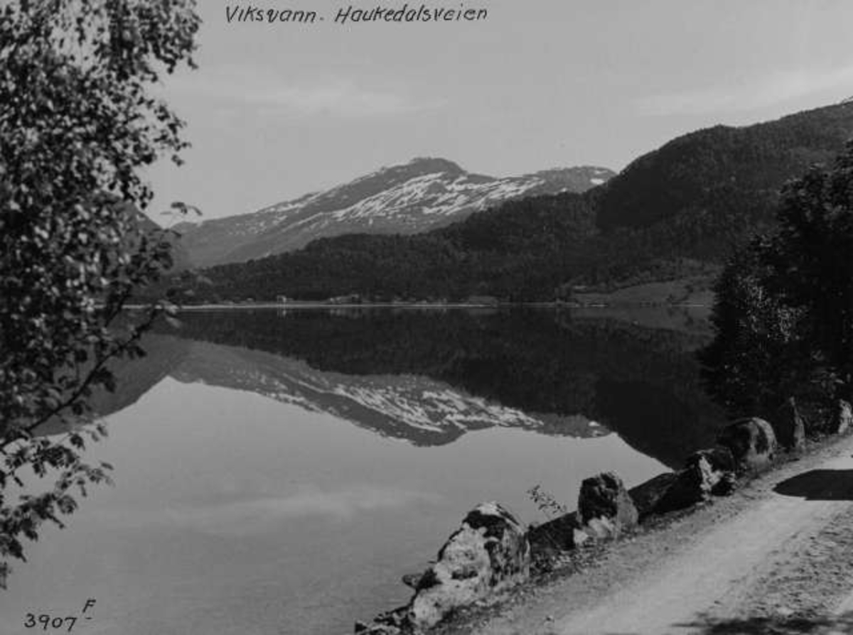Anders Beer Wilse, -5642