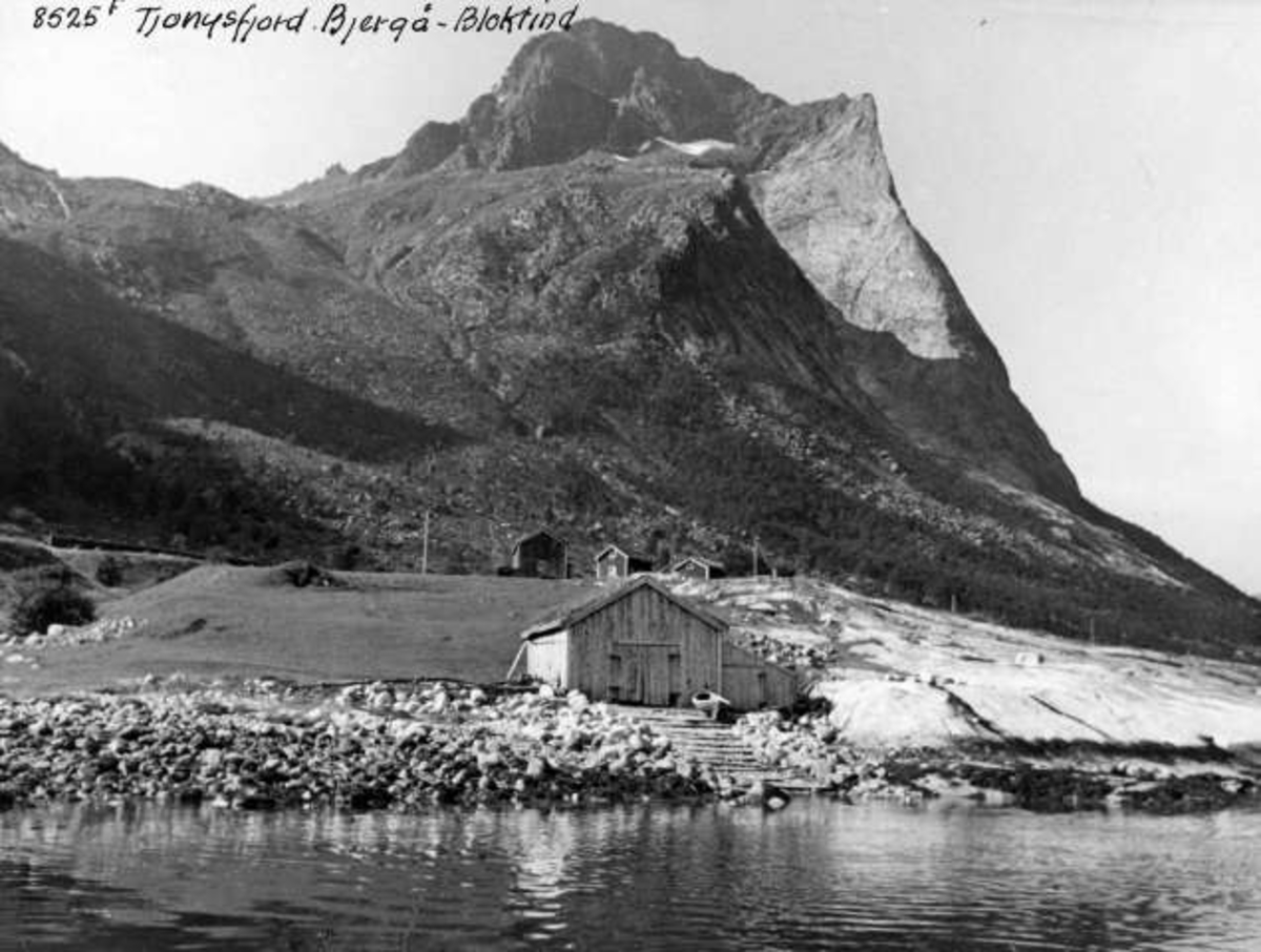 Anders Beer Wilse, -5852