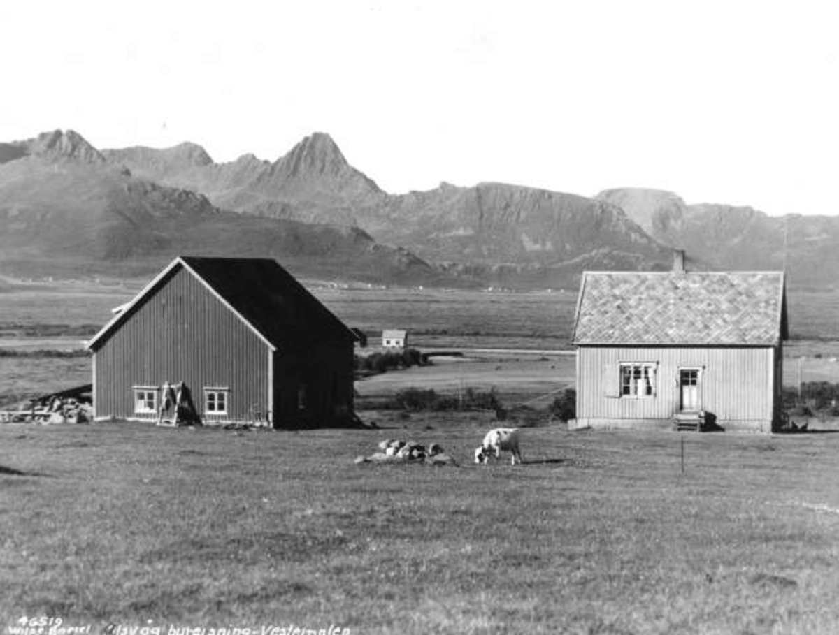 Anders Beer Wilse, -5917