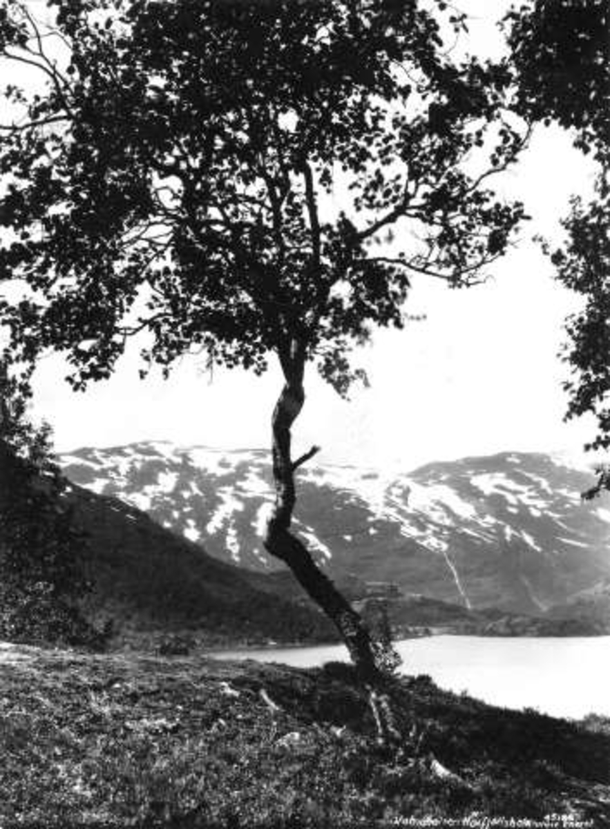 Anders Beer Wilse, -5947