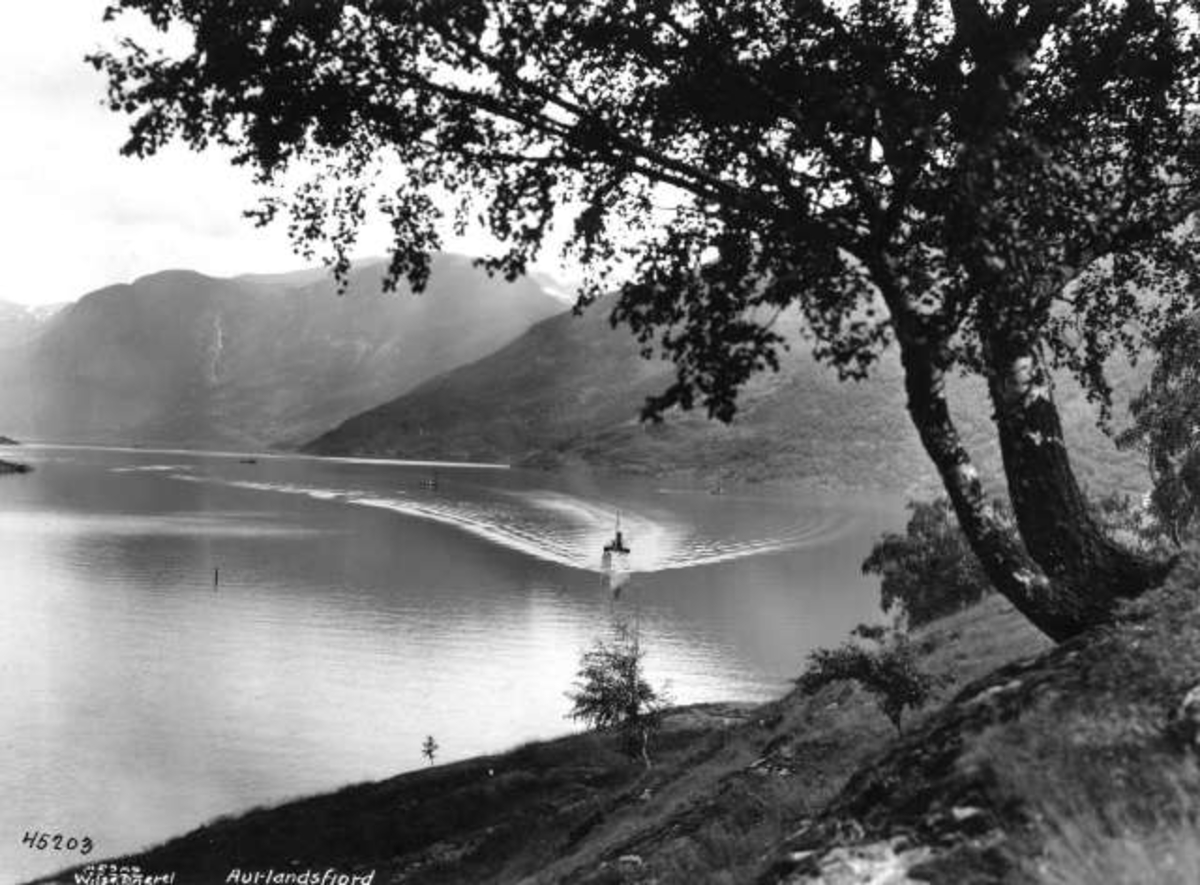 Anders Beer Wilse, -5959