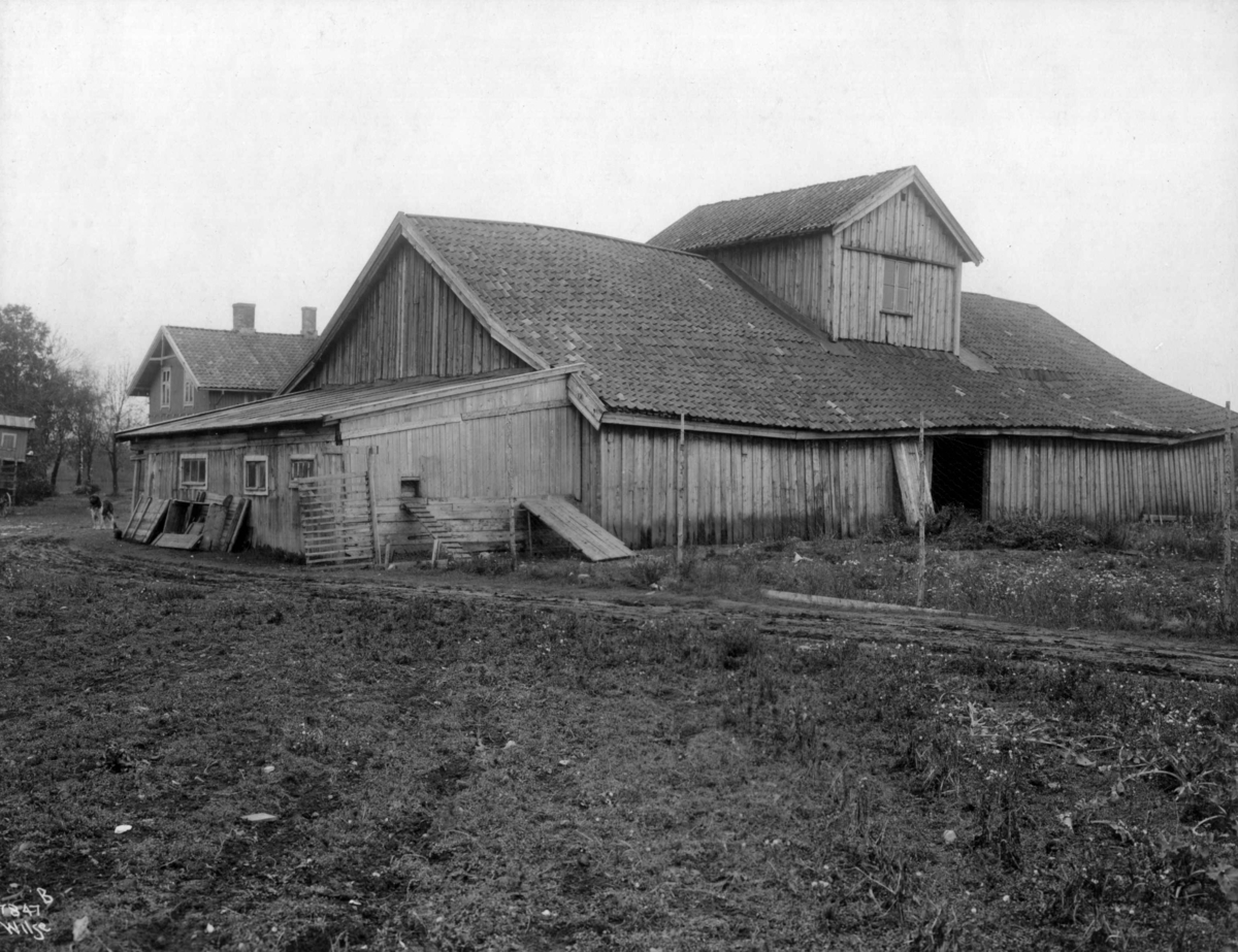 Anders Beer Wilse, Voldsløkka, Oslo 1915. Låve.