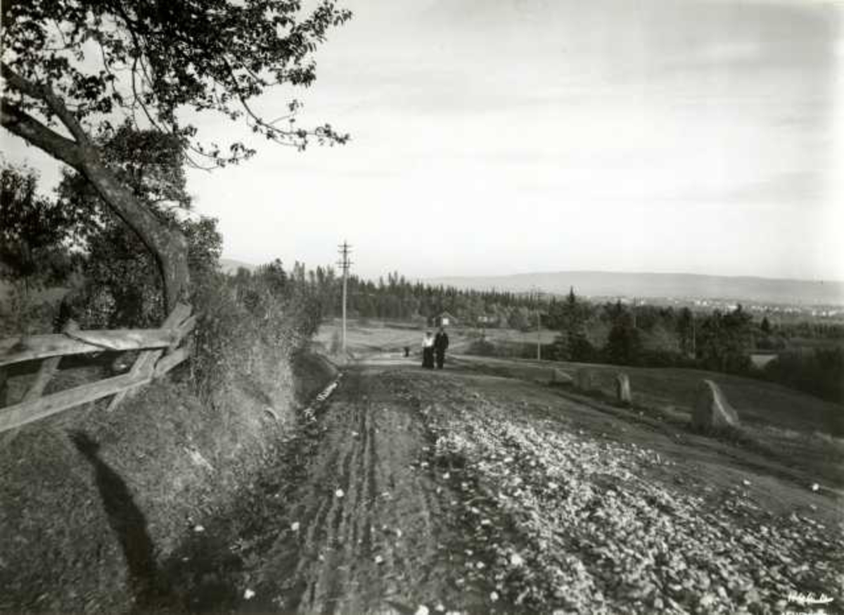 Hermann Christian Neupert, Sørkedalsveien, Oslo 1909. Mennesker spaserer på landevei, utsikt mot byen. Skog. Bebyggelse i bakgrunnen.