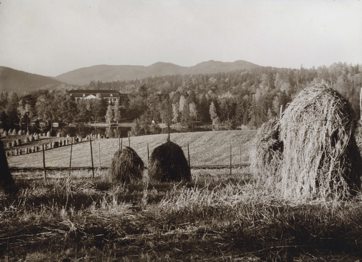 Hermann Christian Neupert, Landskap, Bogstad, Oslo. Oversiktsbilde med Bogstad gård i bakgrunnen. Oversiktsbilde. Bogstadvannet i mellomgrunnen, i forgrunnen jorder med rader av høystakker. Fot. H.C. Neupert (nr.604) ant. 1920.
