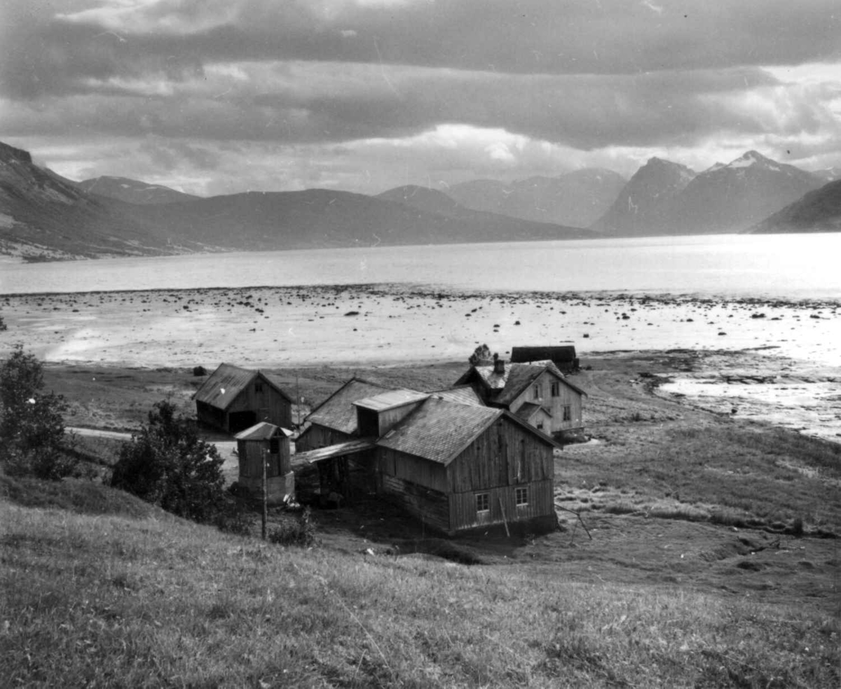 Virginia Raymond Davidson, Balsfjord
