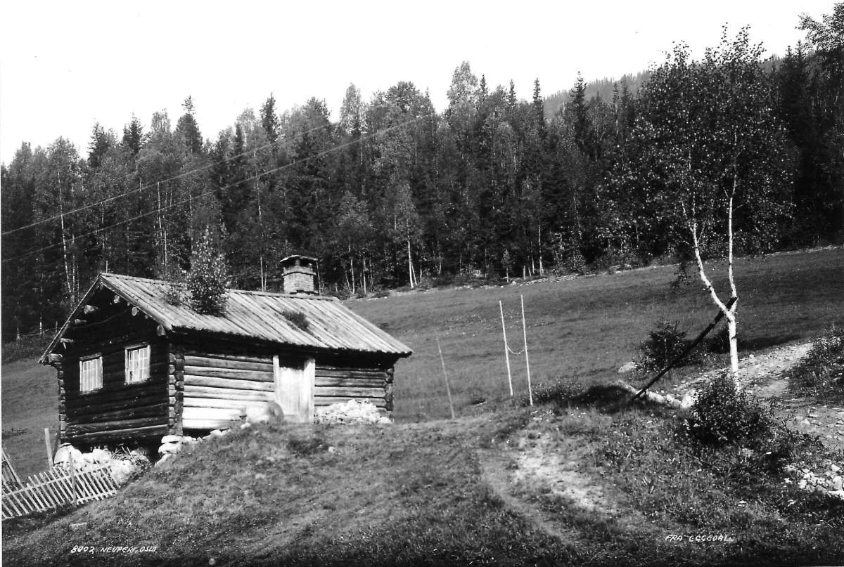 Hermann Christian Neupert, Bråtengårdene. Motiv fra Eggedal. Liten tømmerstue i kanten av et jorde. Skog i bakgrunnen.