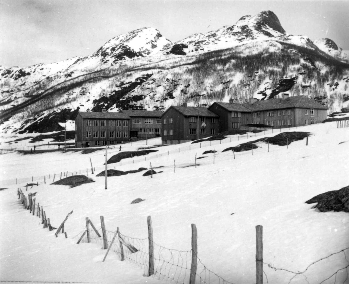 Virginia Raymond Davidson, Internatet med fjell i bakgrunnen, Alteneset 1961.