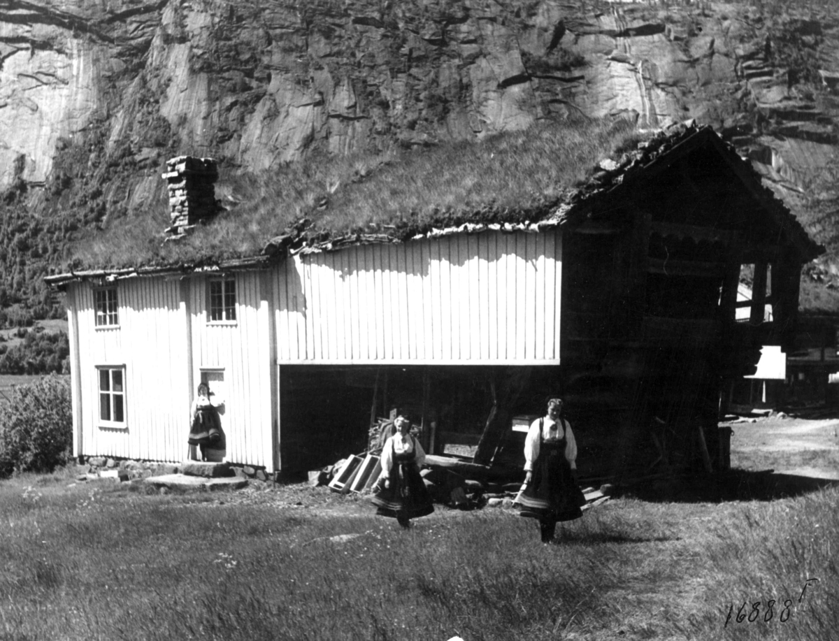 Anders Beer Wilse, Valle 1, Hus
