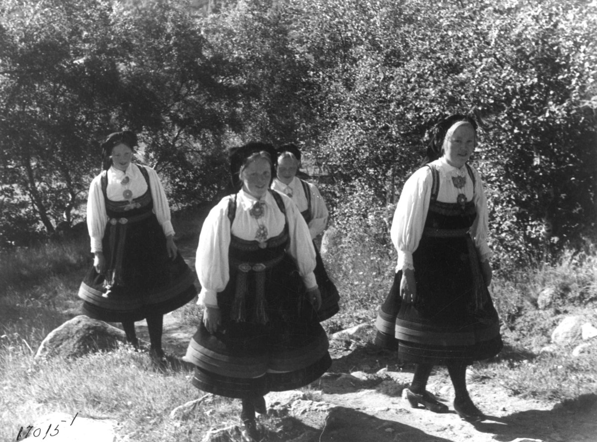 Anders Beer Wilse, Kvinnedrakt, Setesdalsjenter