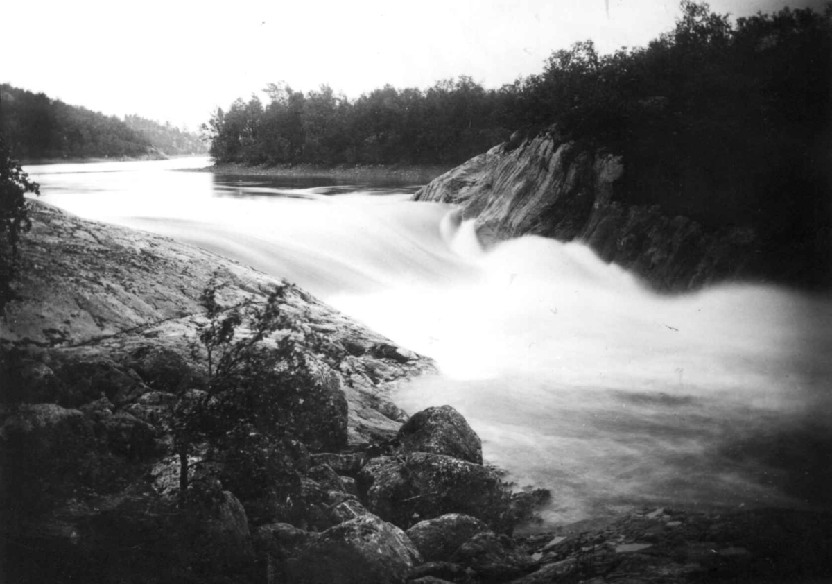 Ellisif Rannveig Wessel, Harefoss, Pasvik, Sør-Varanger, Finnmark, ca. 1900-1910
