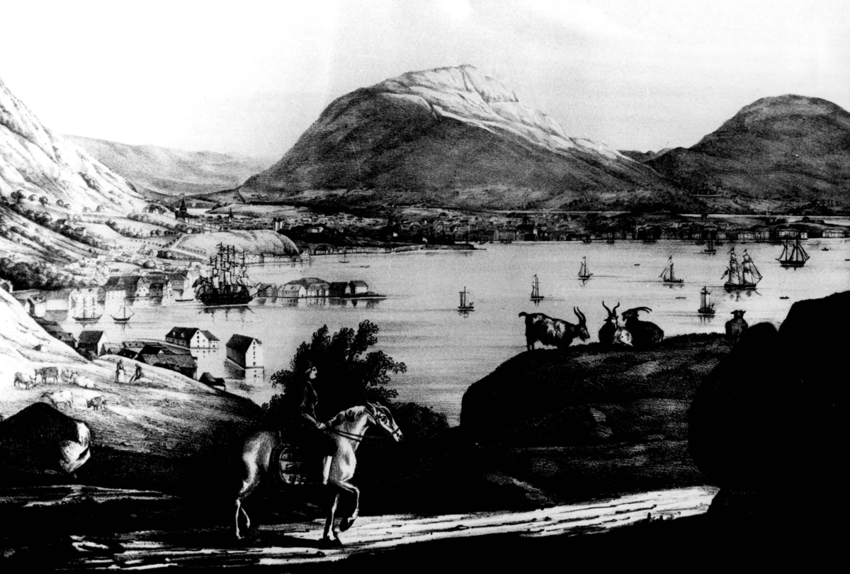 Anders Beer Wilse, Bergen diverse.