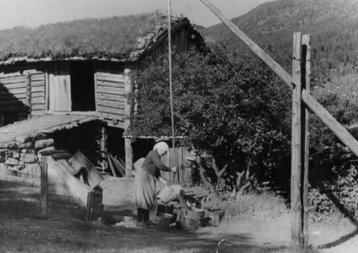 Anders Beer Wilse, Vannhenting med brønnstang