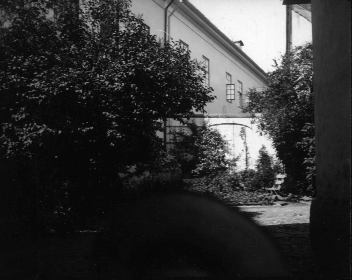 Hermann Christian Neupert, Postkort. Fredrikstad 1930. Bybygning. Utsnitt fra et gårdsrom med trær og busker.