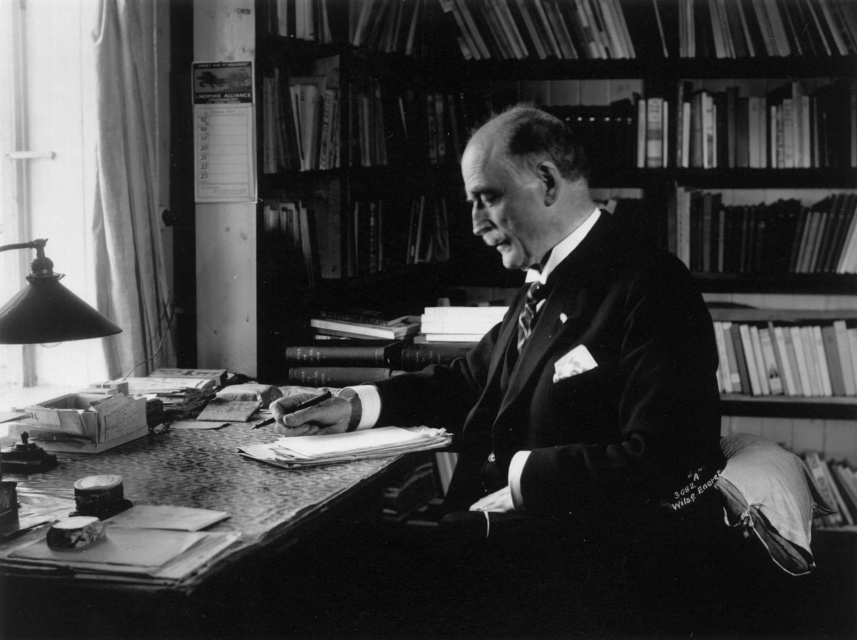 Anders Beer Wilse, Hamsun