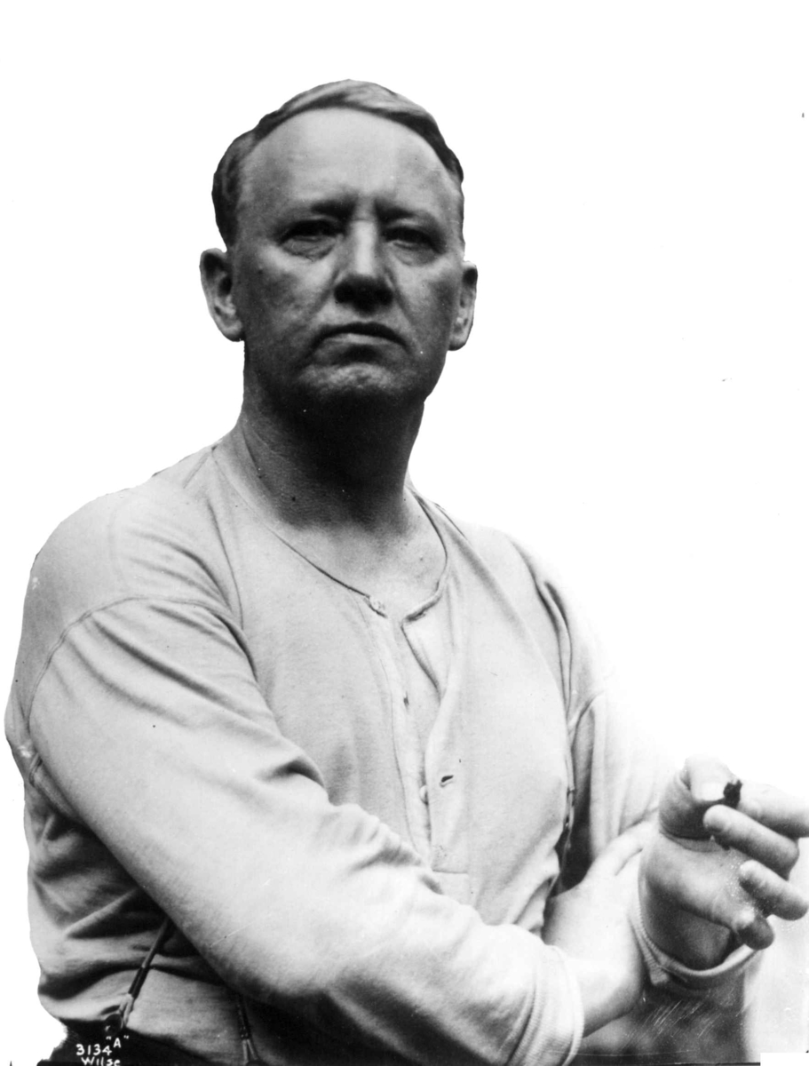 Anders Beer Wilse, Vigeland