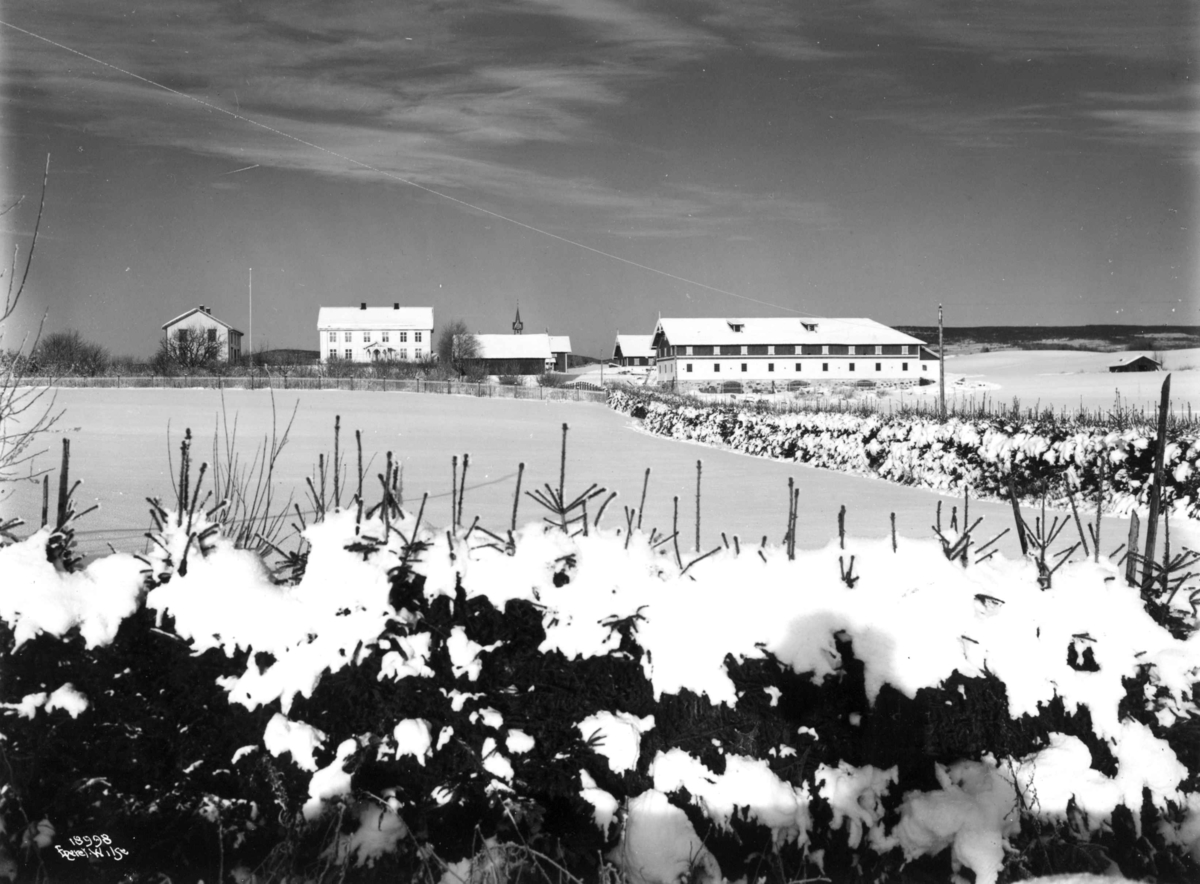 Anders Beer Wilse, Karset, Vang, Hamar, Hedmark 1917. Bondegård med jorder, granhekk i snølandskap.