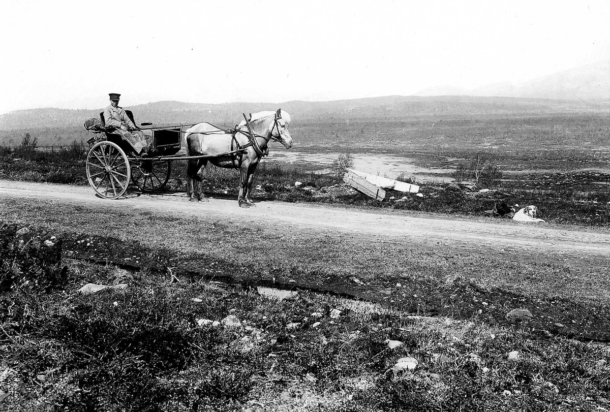 Robert Collett, Veiparti med mann og hest med gigg, snøplog i veikanten, ukjent sted. Serie tatt av Robert Collett (1842-1913), amatørfotograf og professor i zoologi.