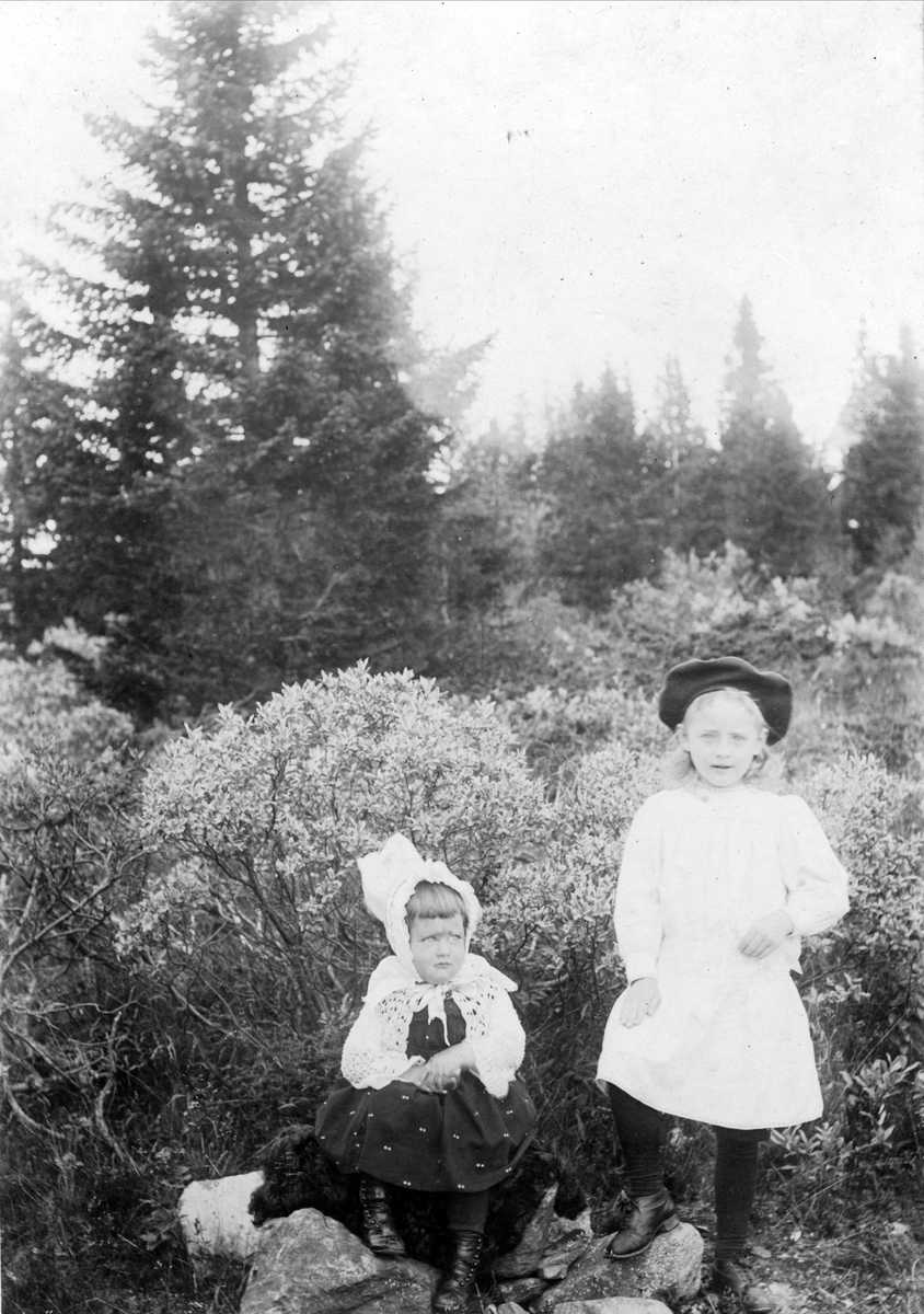 Robert Collett, Barn i landskap, ukjent sted. Serie tatt av Robert Collett (1842-1913), amatørfotograf og professor i zoologi.