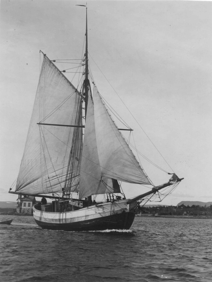 Anders Beer Wilse, Skoyte (Jakt)