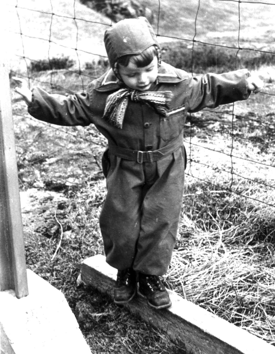 Anna Grostøl, Henrik Harstad står på en stokk og holder seg fast i et nettinggjerde. Vest-Agder 1938-39.
