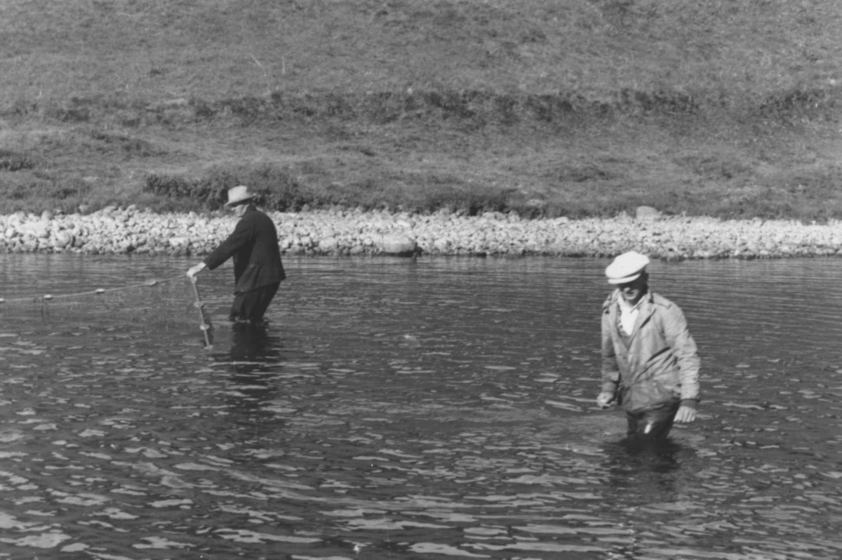 Anna Grostøl, Fiske. Oskar og Ånund ute i elven og ser til at nota ikke setter sg fast i stein eller stokk. Åseral, Vest- Agder 1943.