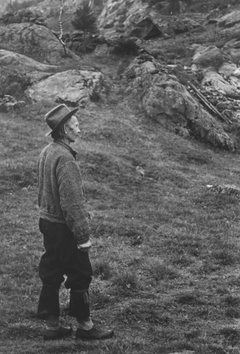 Anna Grostøl, Gunnleiv Bortelid. Tjaldal, Åseral, Vest-Agder 1943.