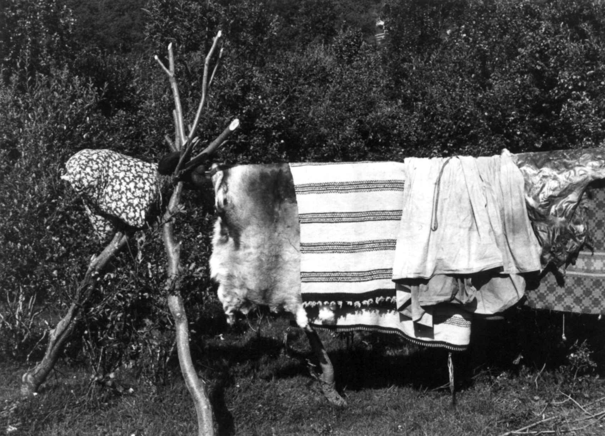 Anna Grostøl, Stillas. Stativ med grenetepper og skinn. Lyngen, Troms 1947.