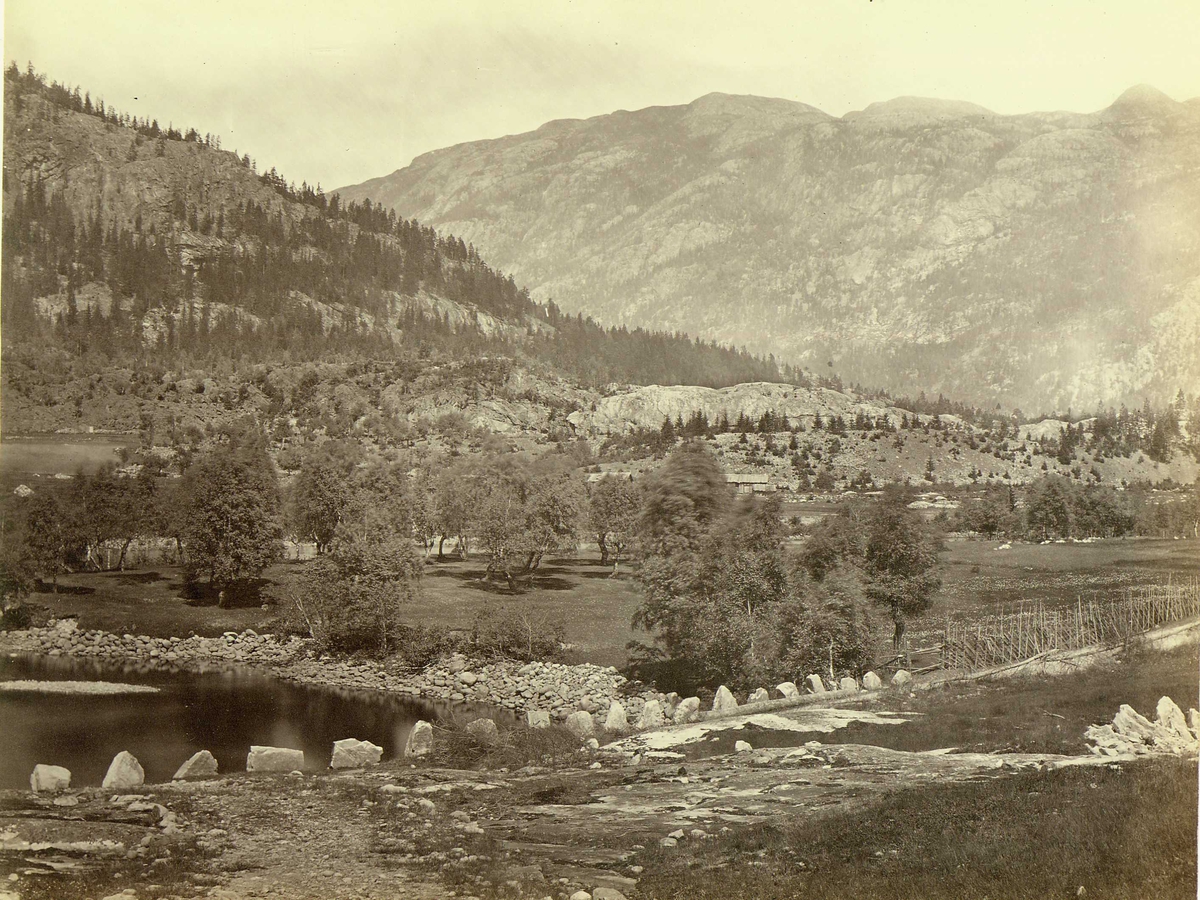 Henry Rosling, Landskap, Hjartdal ("Hjerdal"), Telemark, med veiparti. Fra serie norske landskapsfotografier tatt av den engelske fotografen Henry Rosling (1828-1911).