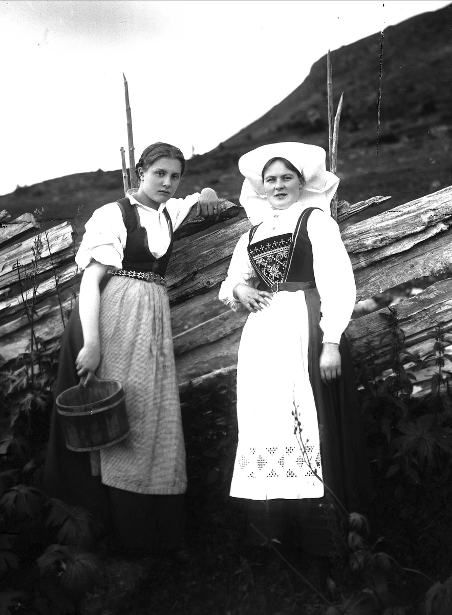 Solveig Lund, To kvinner i Hardangerdrakt står lent mot skigard. Den ene holder en bøtte i hånden. I bakgrunnen sees fjellside.