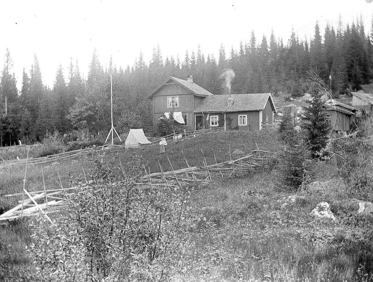 Axel Quinsgaard Wiborg, Holoa seter, Hadeland. Huset, setervollen og Margrethe Q. Wiborg med Halvor Nicolai, 1903.