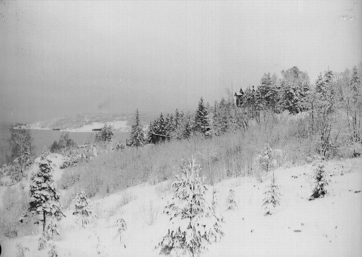 Axel Quinsgaard Wiborg, Vinterbilde fra Digerud, Frogn, Akershus, 1908.