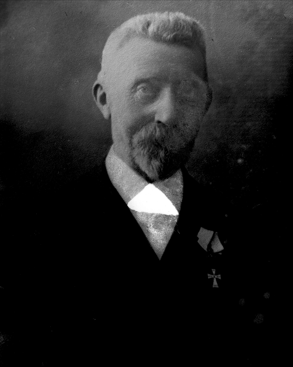 Gustav Borgen, Avfotografering. Portrett, mann i mørk dress med ordensmedalje.