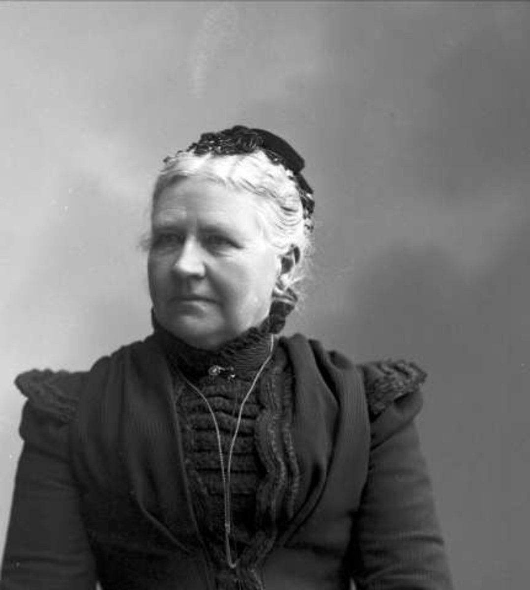 Gustav Borgen, NFB.01702