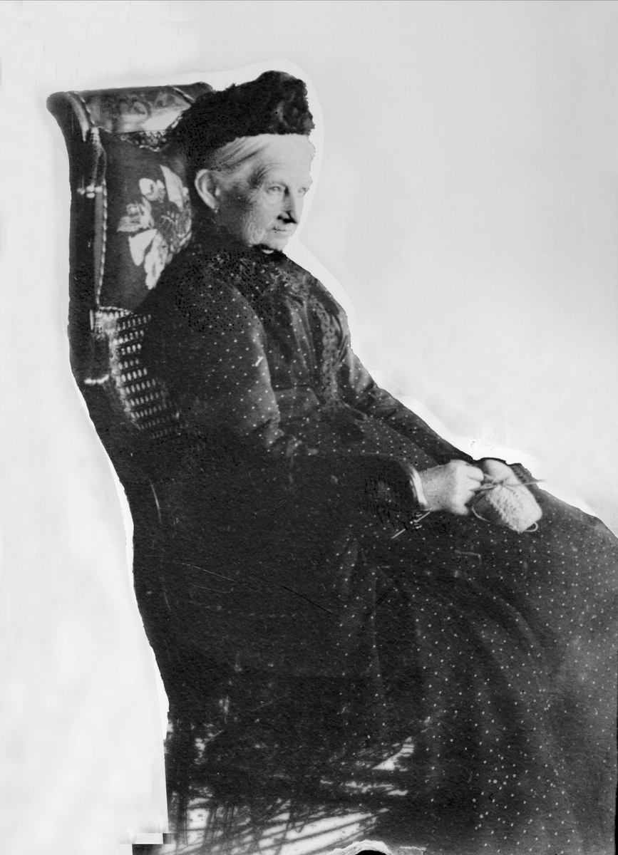 Gustav Borgen, Avfotografering.