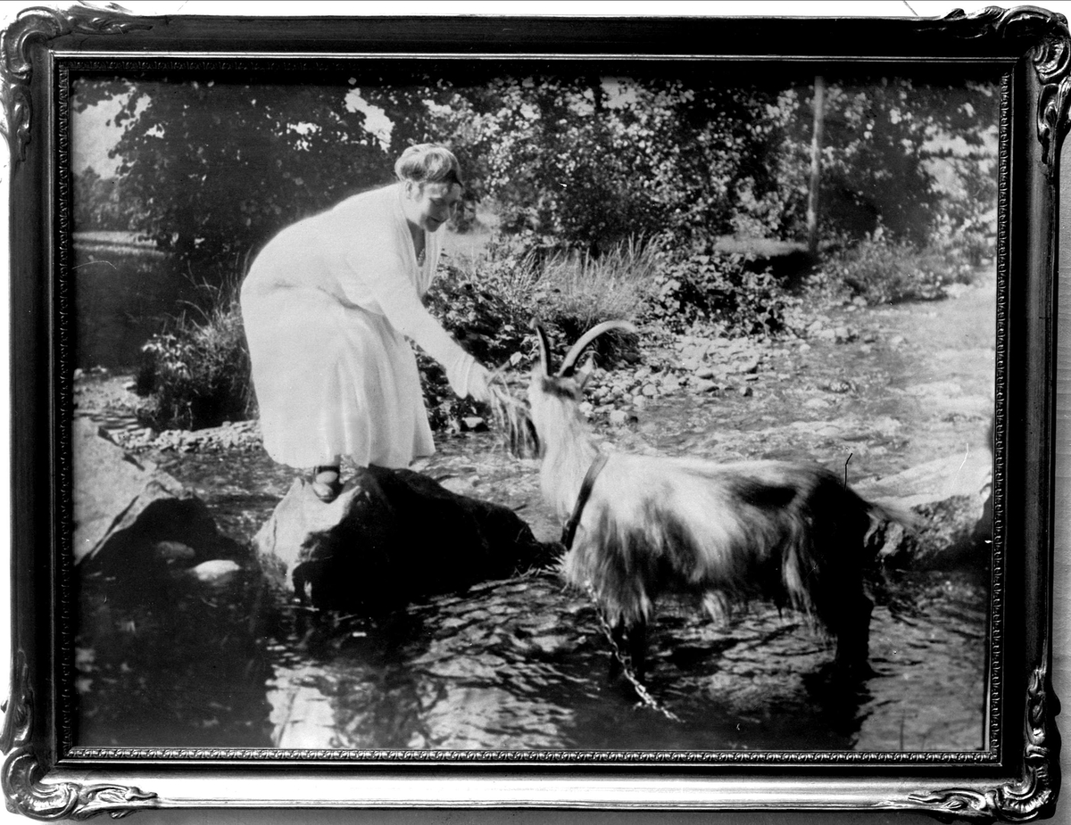 Gustav Borgen, Avfotografert bilde av en kvinne som mater en tjoret geitbukk ved en bekk.