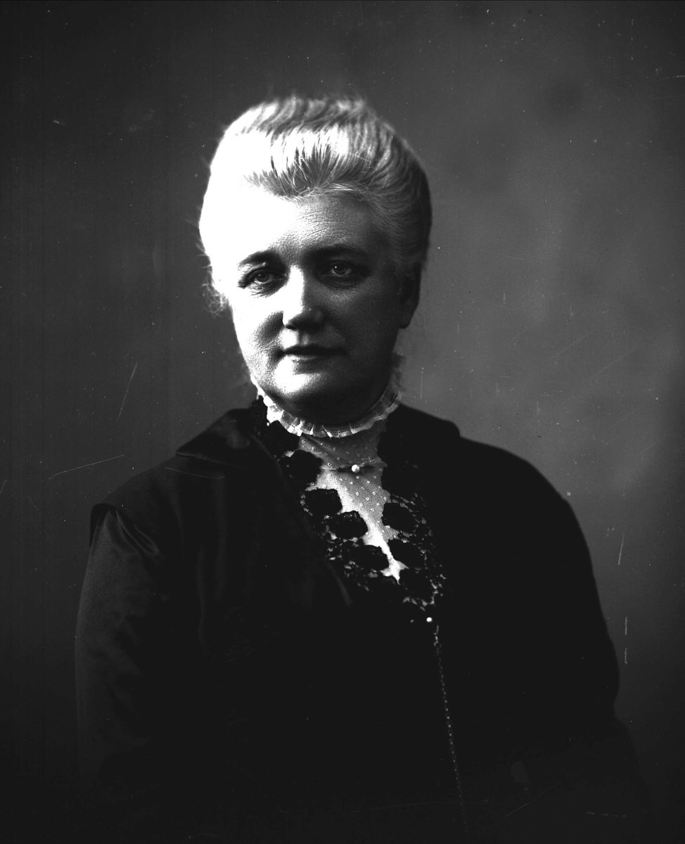 Gustav Borgen, NFB.03746