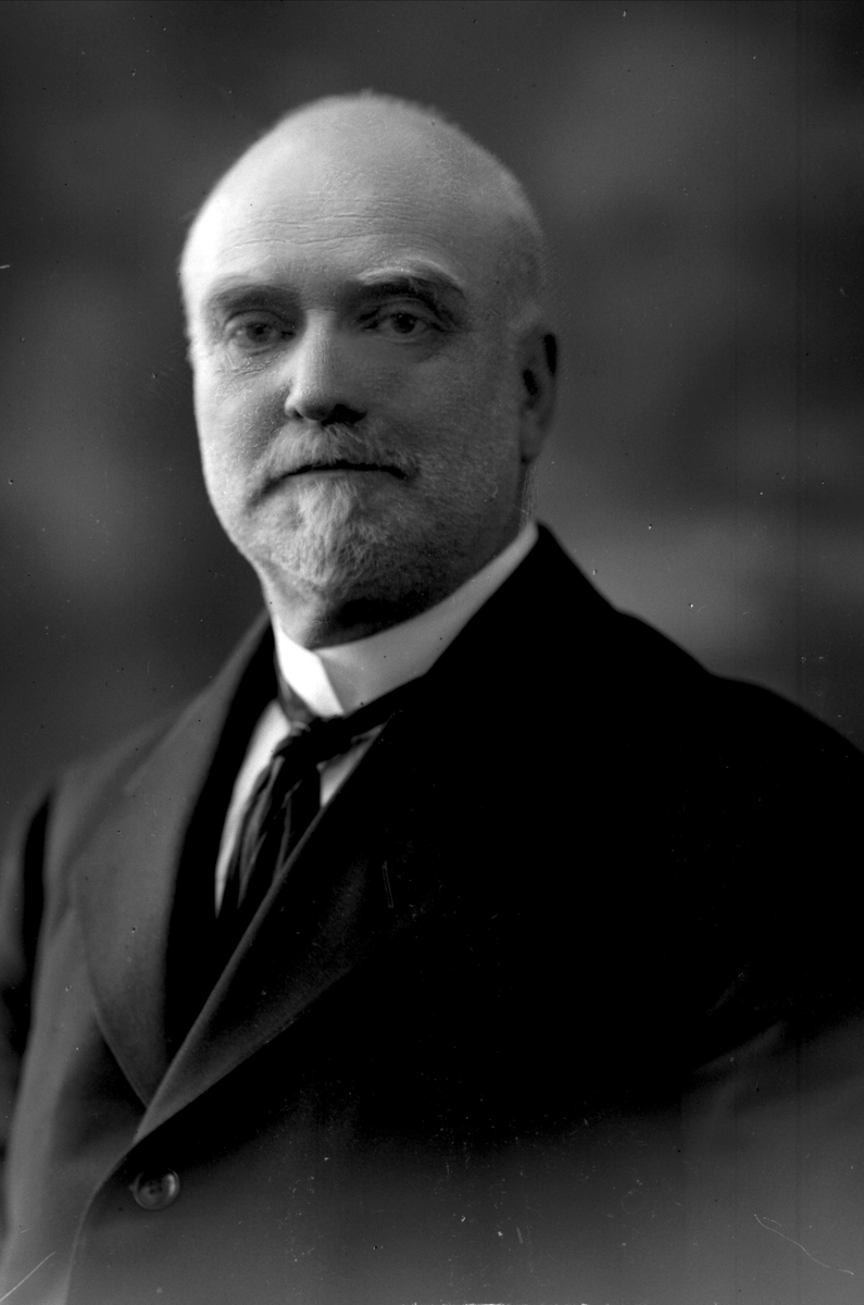 Gustav Borgen, Portrett, William Duborgh.