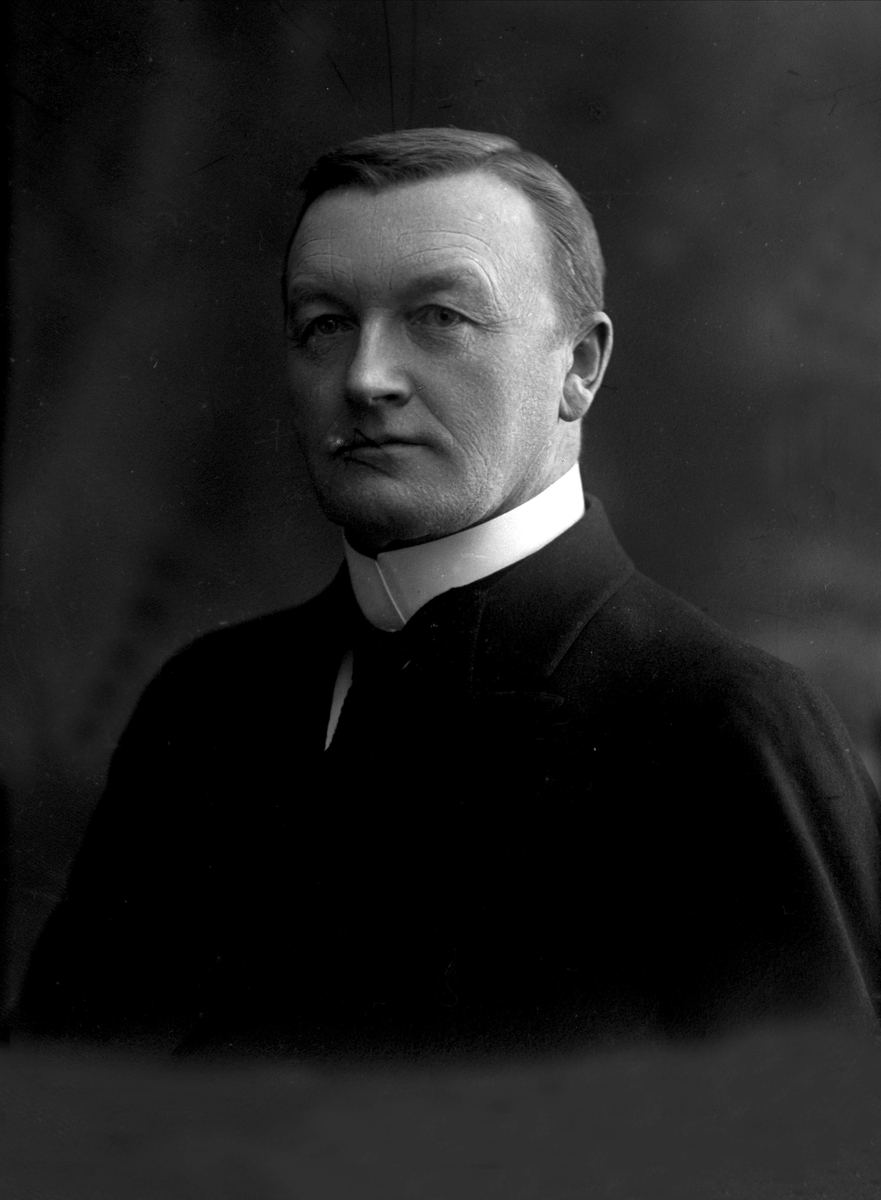 Gustav Borgen, Portrett, Jens Kristian Meinich Bratlie som statsminister, mars 1912.