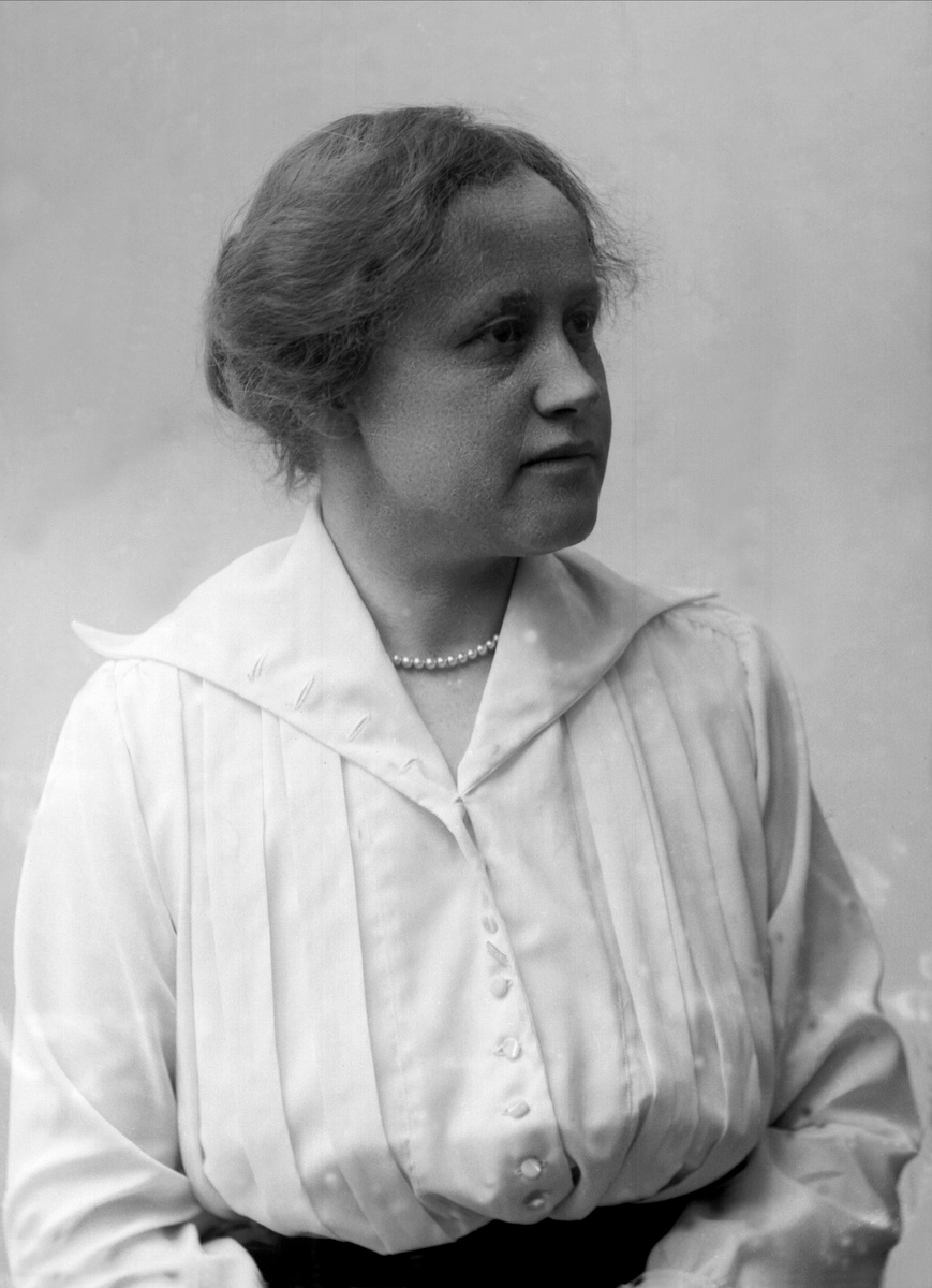 Gustav Borgen, NFB.06606