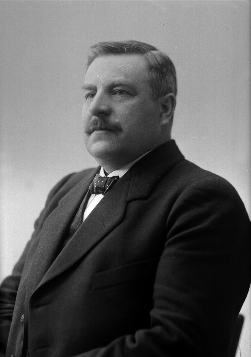 Gustav Borgen, Portrett av Harald Viker.